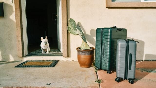 ２個のスーツケースと犬